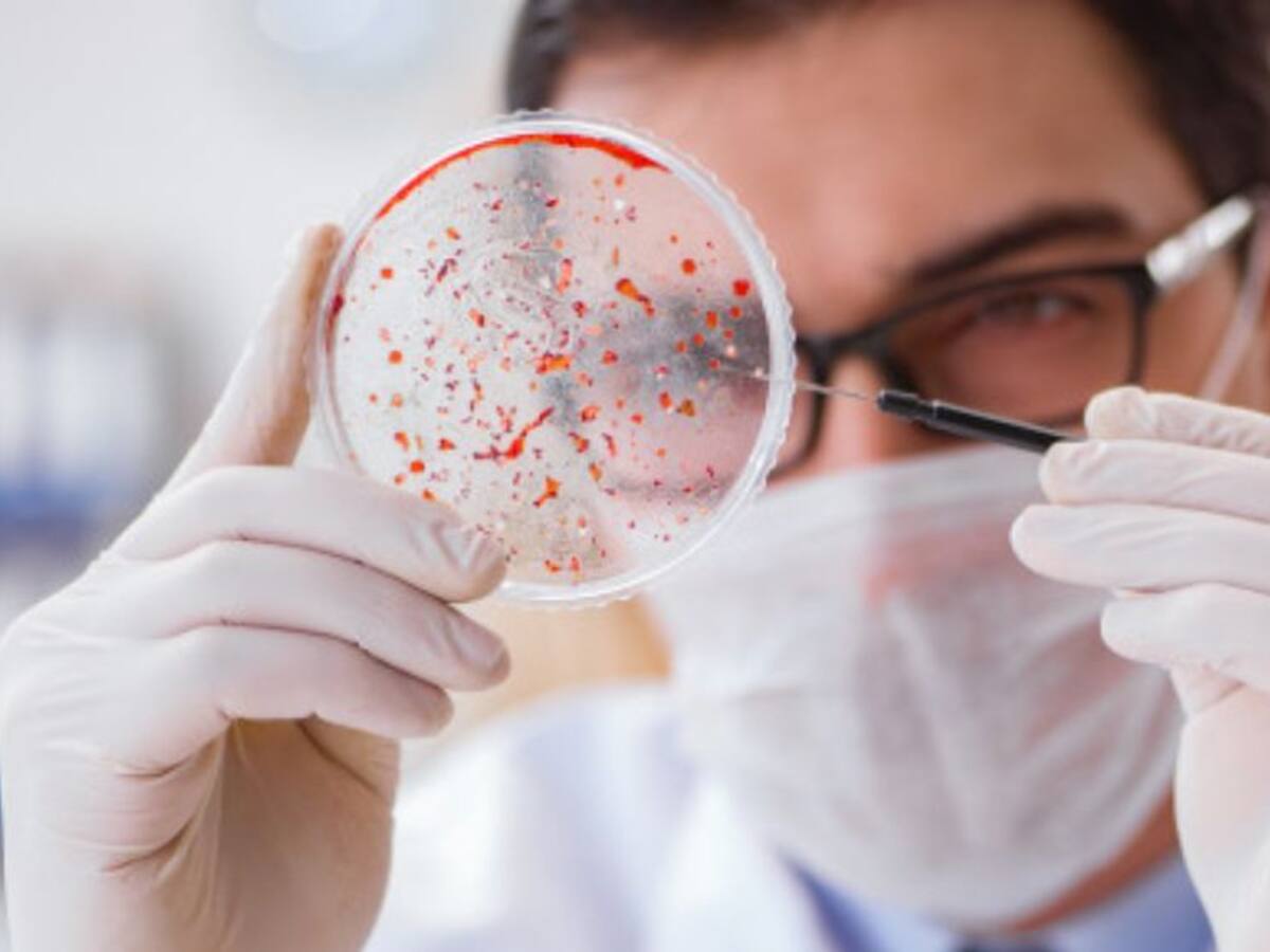 Minsal informó que hubo 3.685 nuevos casos y ya son 295.532 los contagiados con coronavirus