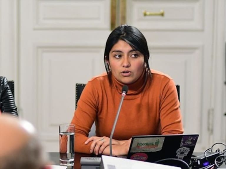 Diputada Camila Rojas: En la oposición hay consenso de poner fin al CAE y desbancarizar la educación