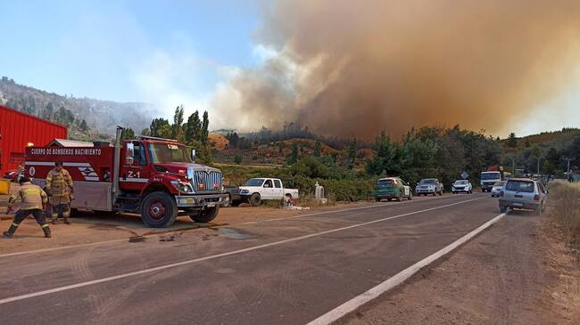 Incendios forestales Quillón