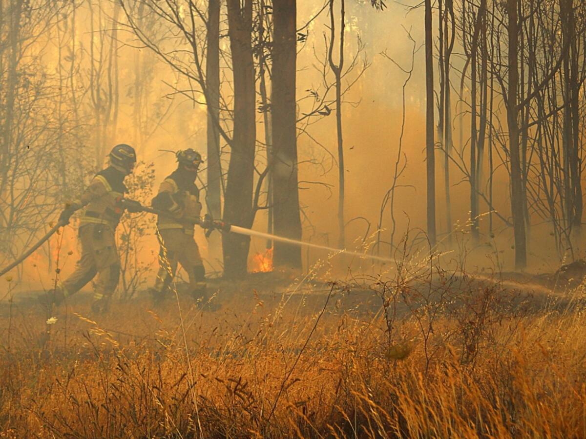 El duro relato del alcalde de Ránquil: «Cuando iniciaron los incendios forestales, desapareció un poblado completo»