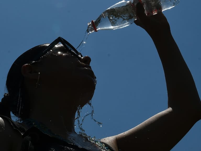 Ola de calor: Urgenciólogo detalla riesgos de las altas temperaturas en personas y mascotas