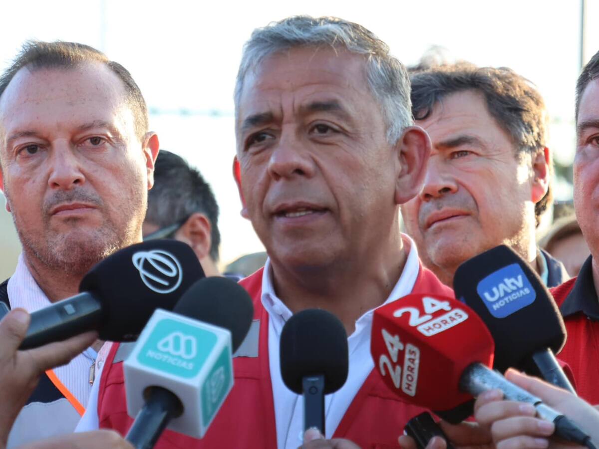 Alcalde de Collipulli critica demora de ayuda del Gobierno tras incendios: “Los animales comen todos los días, no en 90 días”
