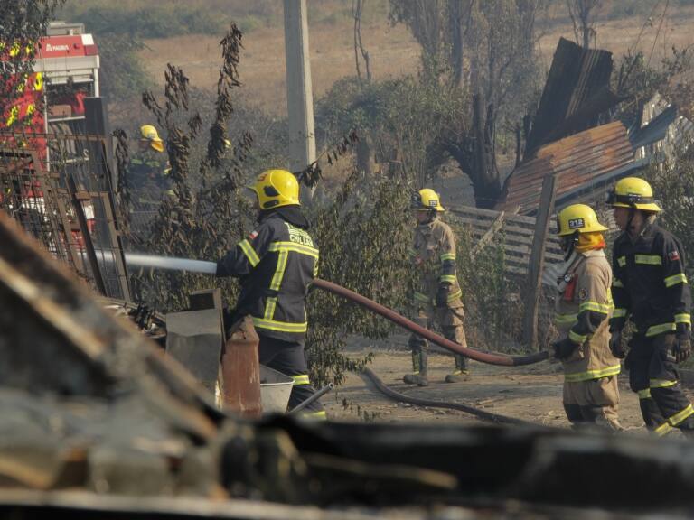 Región de Ñuble: Senapred ordena evacuar tres sectores de Coelemu por incendio forestal