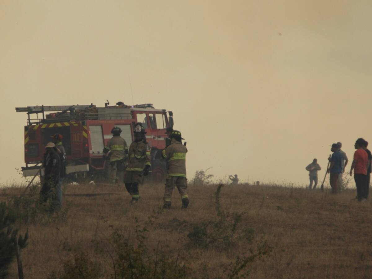 Cooperación internacional tras los incendios forestales: 11 países han enviado ayudas a Chile