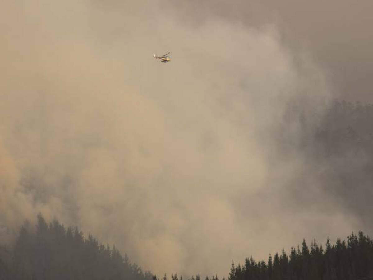Incendios forestales: Corporación Chilena de la Madera desmiente denuncia por ataque a aviones