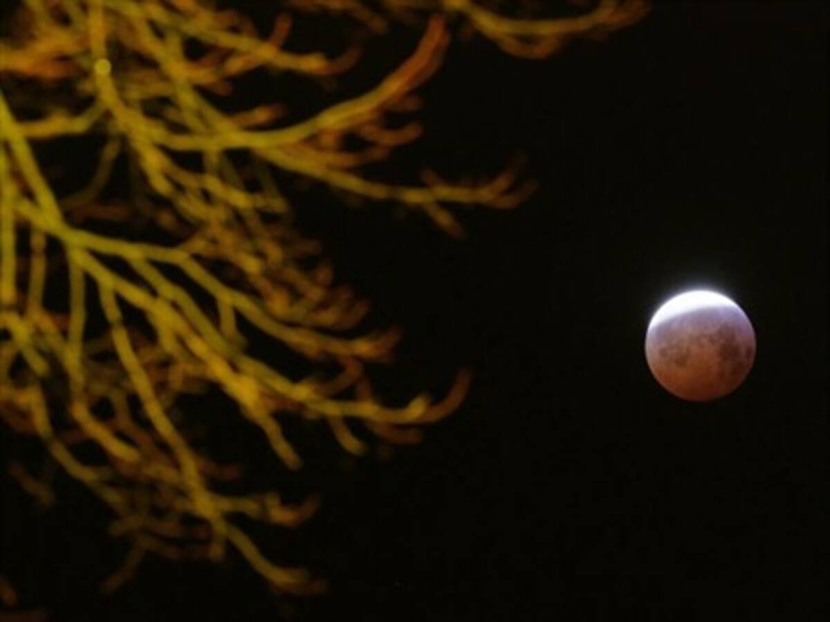 «Superciencia» y todo lo que necesitas saber para vivir el eclipse de sol en Chile