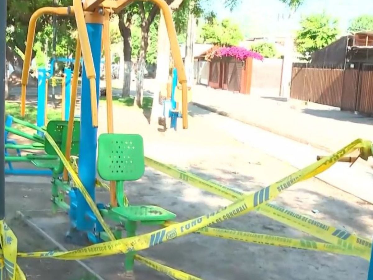 Un perro habría muerto electrocutado: vecinos de Conchalí alertan sobre peligro en una plaza