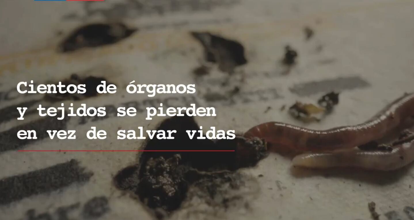 "Perturbador": campaña de donación de órganos del Minsal causa polémica por crudas imágenes