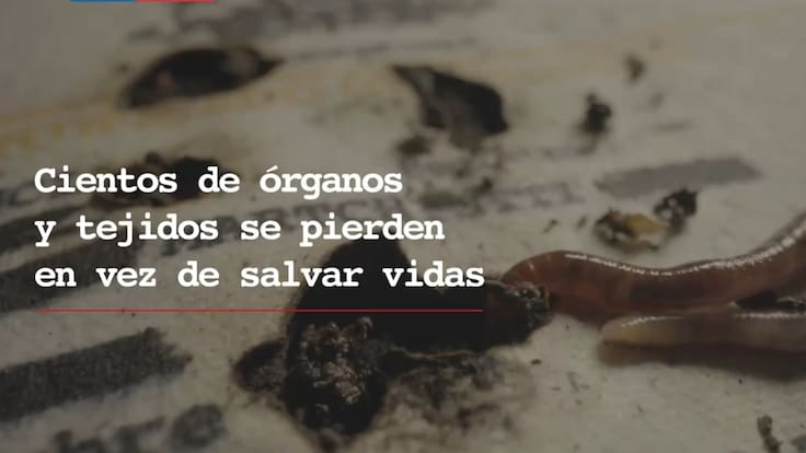 “Perturbadoras”: campaña de donación de órganos del Minsal causa polémica por crudas imágenes