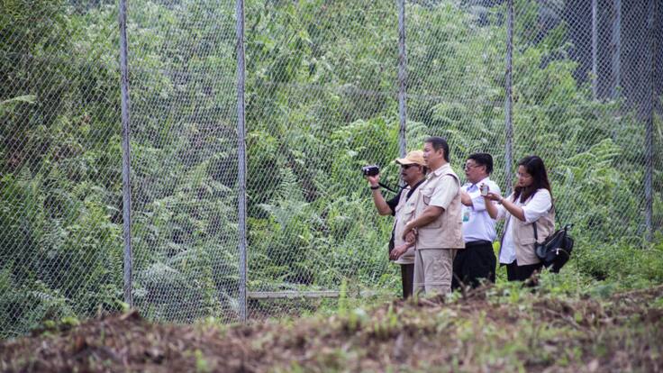 Mechón de pelo sugiere que animal declarado extinto hace más de 15 años seguiría existiendo en estado salvaje en Indonesia