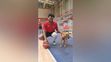 La “aperrada” historia de uno de los refuerzos extranjeros del equipo de básquetbol de Colo Colo
