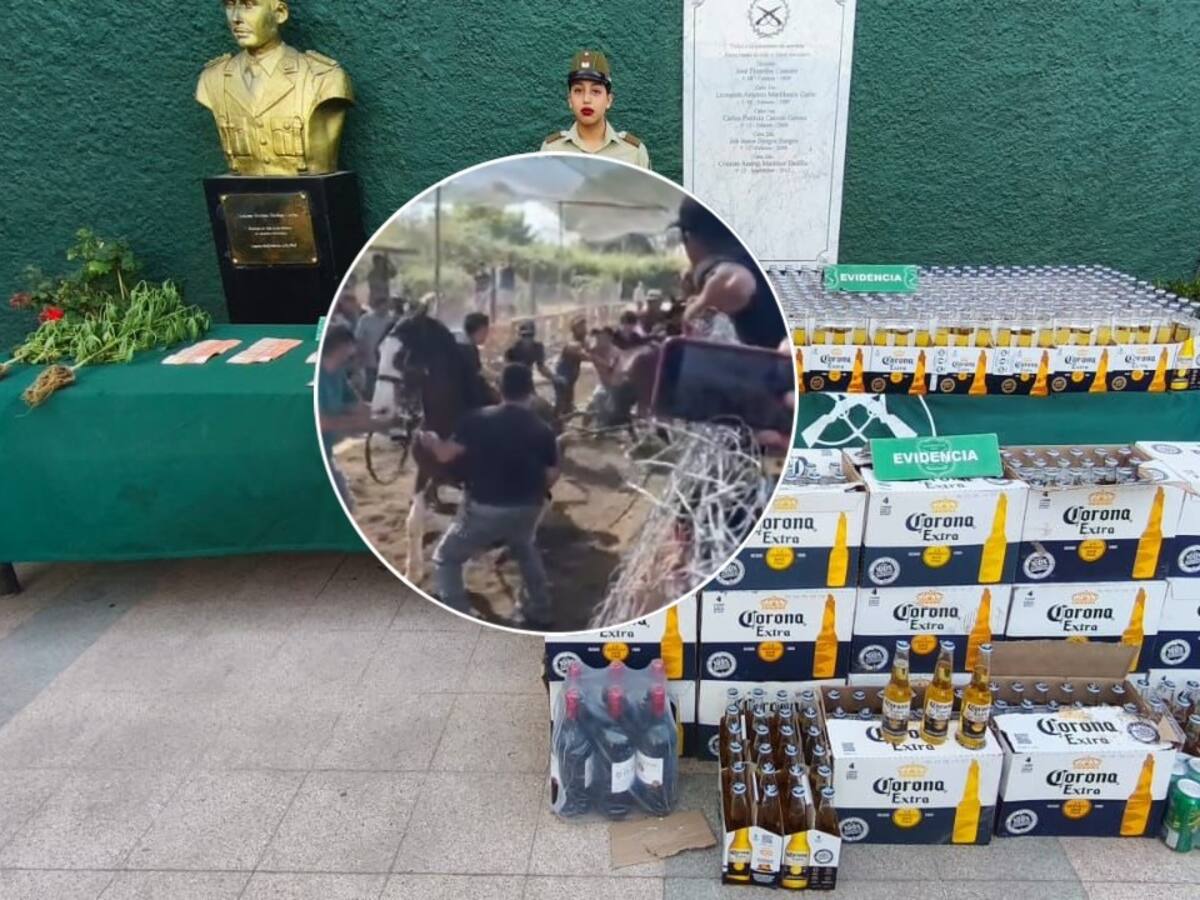 Registro expone brutal maltrato animal y termina con cinco detenidos en Quilicura