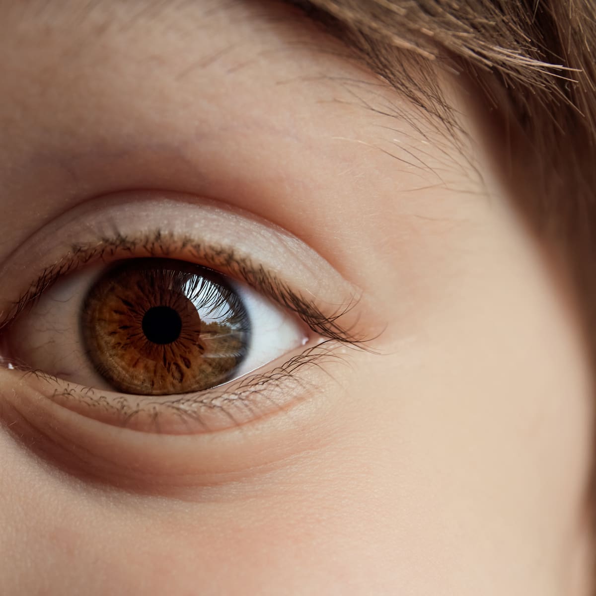 Investigadores en Chile detectan particulares patrones en las pupilares de niños con TDAH