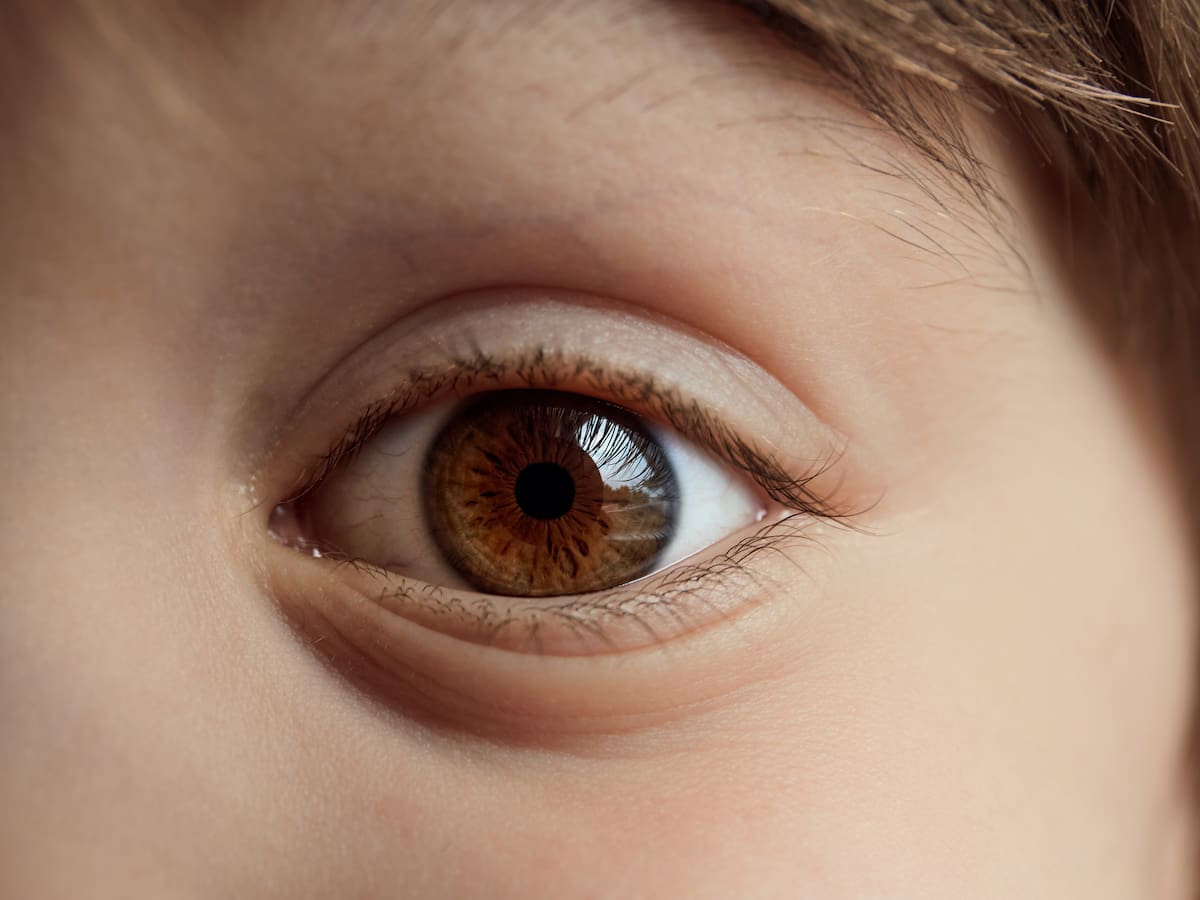 Investigadores en Chile detectan particulares patrones en las pupilares de niños con TDAH