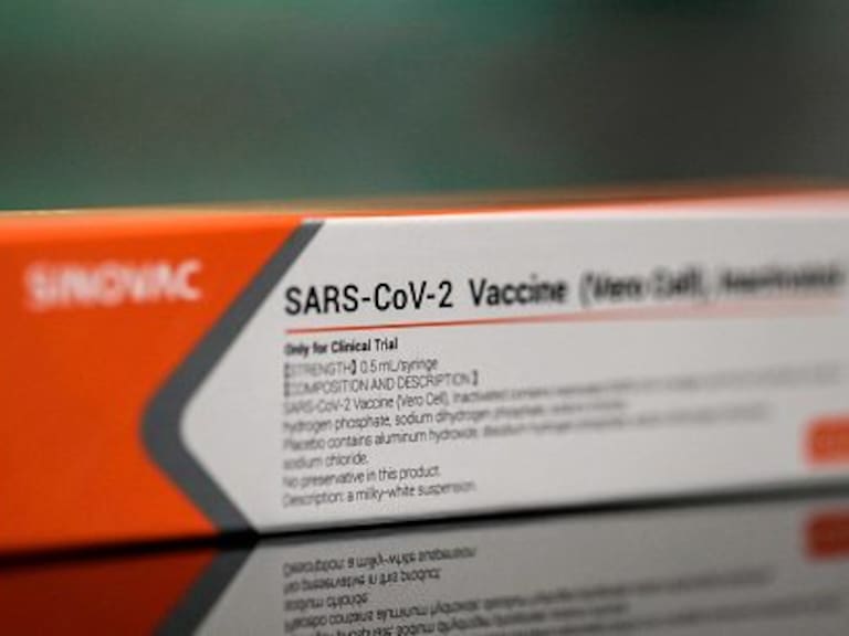 Vacuna Sinovac estaría en Chile a mediados de enero