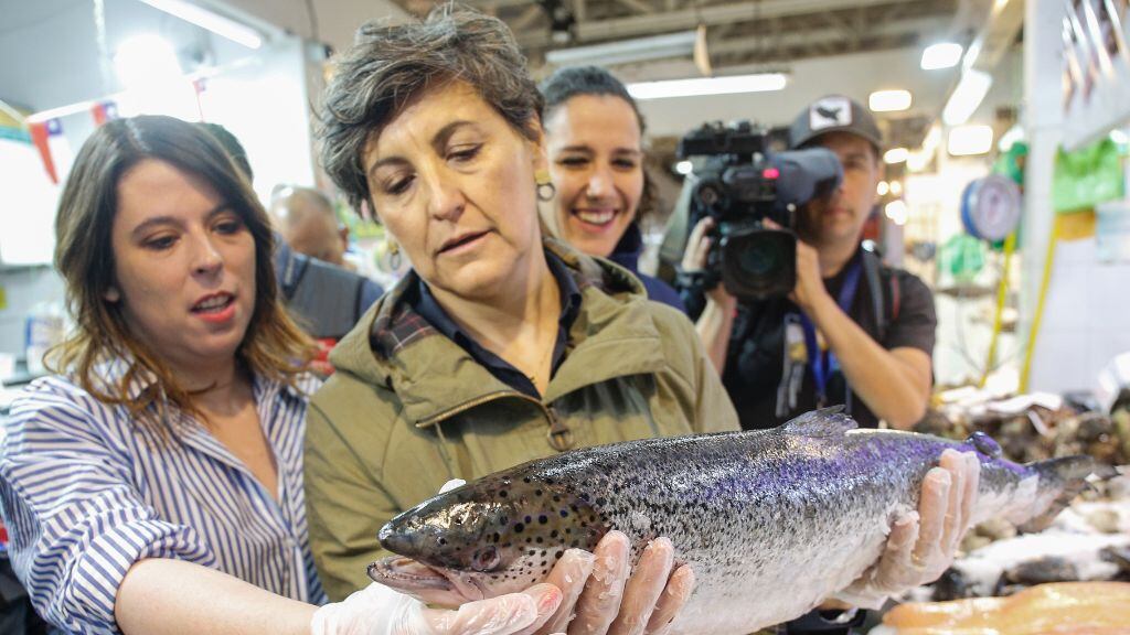 Ximena Aguilera, 1024x576 jpg ok, Semana Santa, terminal pesquero, pescado