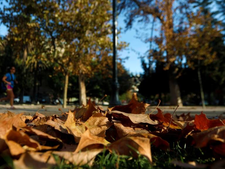 Adiós al verano: este lunes 20 de marzo comienza oficialmente el otoño