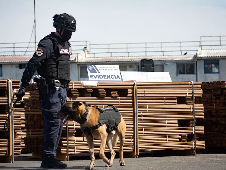 Incautan casi 20 toneladas de cocaina en puerto de Arica