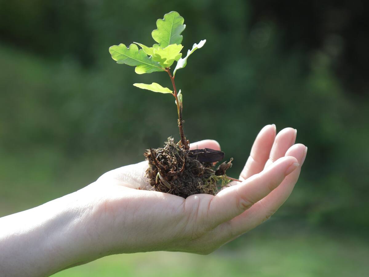 Ministerio del Medio Ambiente lanzó campaña para cuidar el planeta desde la casa