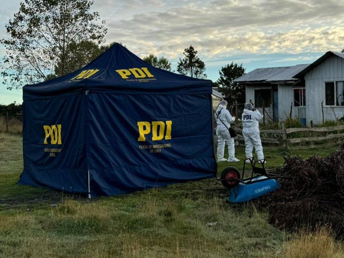 Doble homicidio en Chiloé: detienen a sujeto acusado de asesinar a su abuela y hermanastro