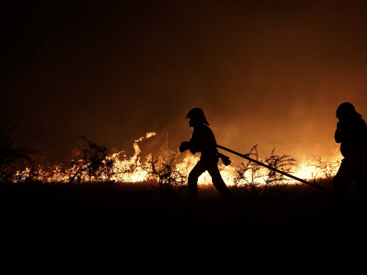 Detienen a mujer por su presunta responsabilidad en incendio forestal que dejó 3 brigadistas muertos en Los Sauces