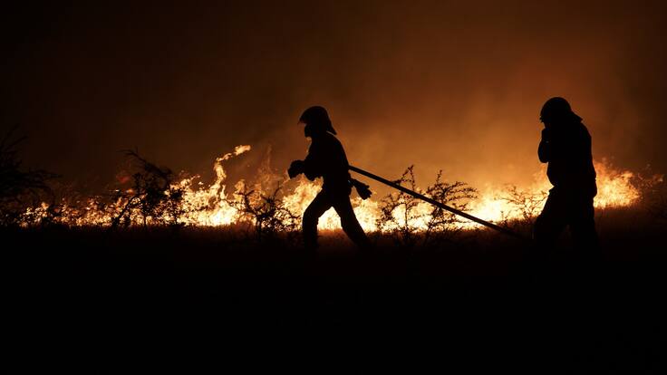 Detienen a mujer por su presunta responsabilidad en incendio forestal que dejó 3 brigadistas muertos