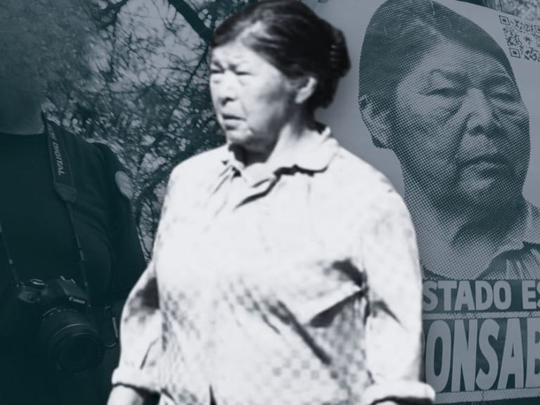 “Existe respaldo...”: Fiscalía de Los Ríos afirma haber presentado pruebas claves en caso de Julia Chuñil