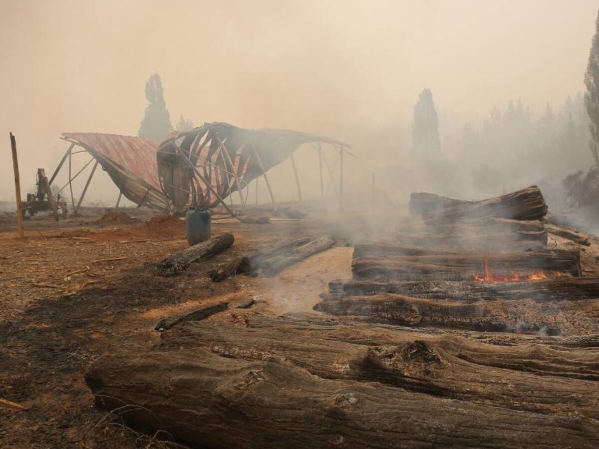 «Esto fue el infierno»: la impactante historia de la familia que se refugió en hornilla durante incendio forestal en Santa Juana
