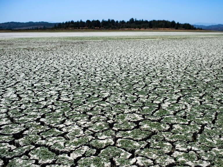 (Photo by Martin BERNETTI / AFP) (Photo by MARTIN BERNETTI/AFP via Getty Images)
