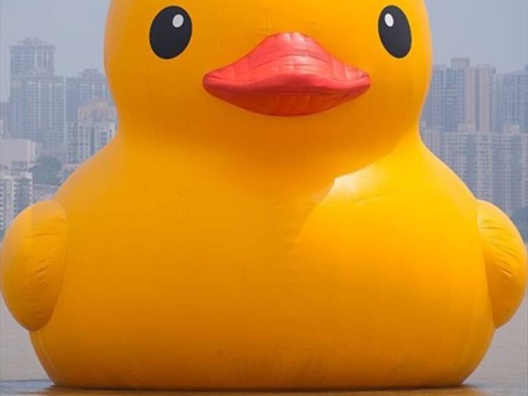 Pato de hule gigante reaparecerá inflado en Valparaíso