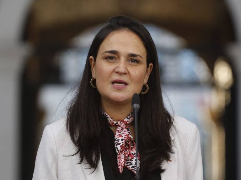 28 de abril del 2020/SANTIAGOLa Subsecretaria de la Niñez, Carol Bown, habla en un punto de prensa en el patio de Los Narajos del Palacio de La Moneda, tras reunirse con representantes de diversas empresas que entregaran diferentes aportes para las residencias del Servicio Nacional de Menores (Sename).
FOTO: SEBASTIAN BELTRAN GAETE/AGENCIAUNO