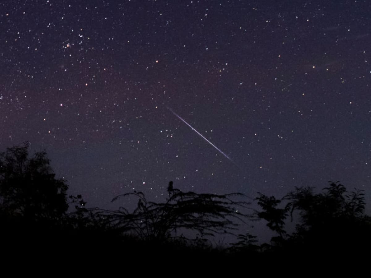 Se podrá observar este viernes: ¿Cómo y dónde ver la lluvia de estrellas del cometa Halley?
