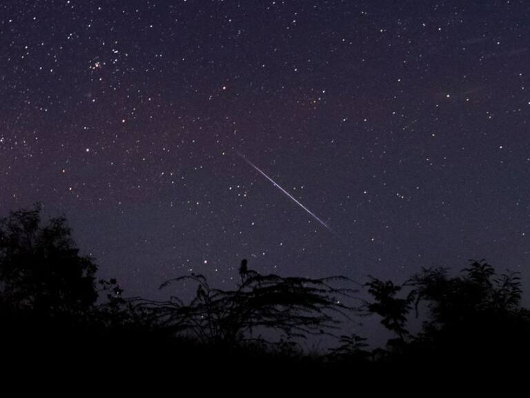 Se podrá observar este viernes: ¿Cómo y dónde ver la lluvia de estrellas del cometa Halley?