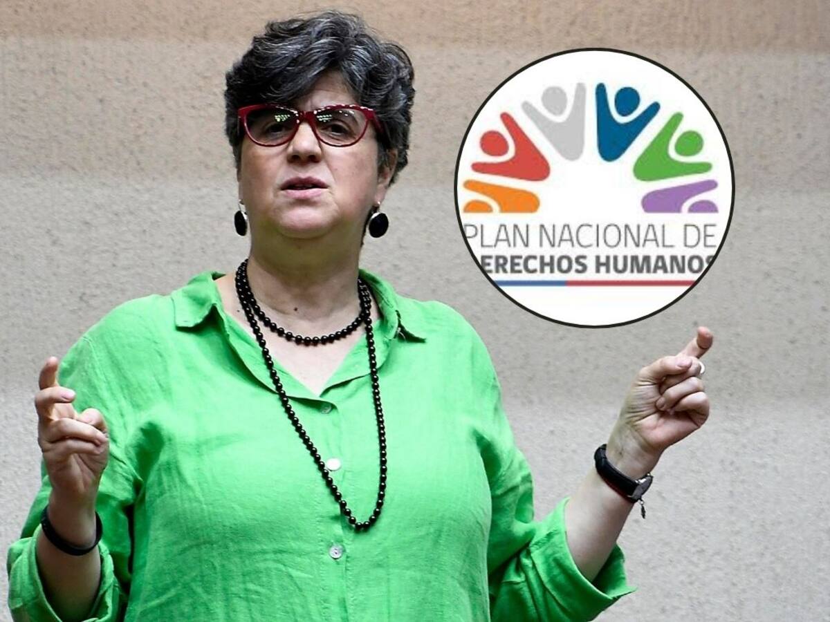 Senadora Pascual acusa al Gobierno de retirar “el Plan Nacional de Derechos Humanos”