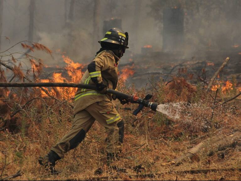 Balance Senapred: número de incendios forestales en combate disminuye a 18