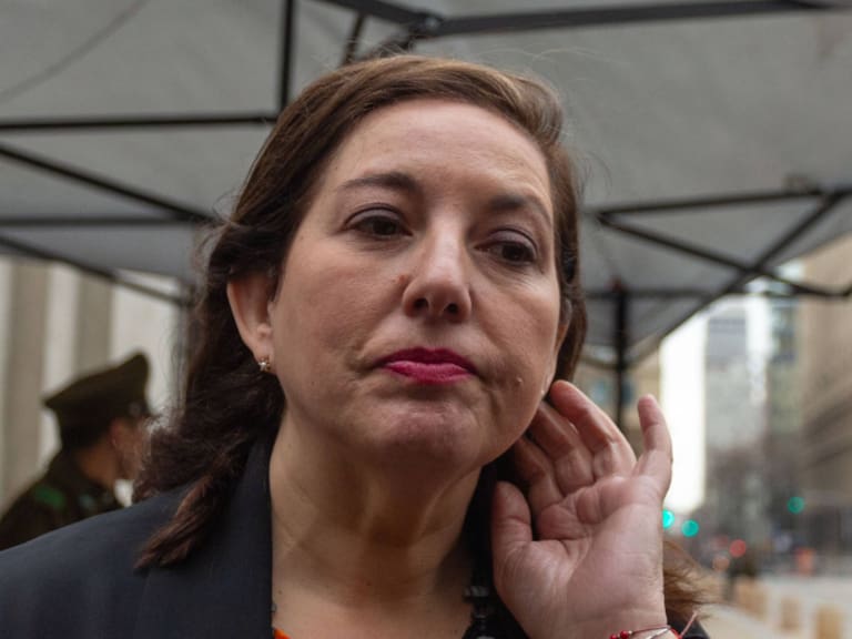 «Es una impertinencia»: Vodanovic cuestiona las críticas de la oposición por cambio de gabinete