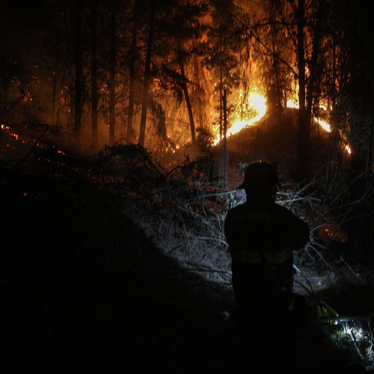 Incendio Forestal en La Araucanía: Senapred declara alerta roja para la comuna de Lonquimay
