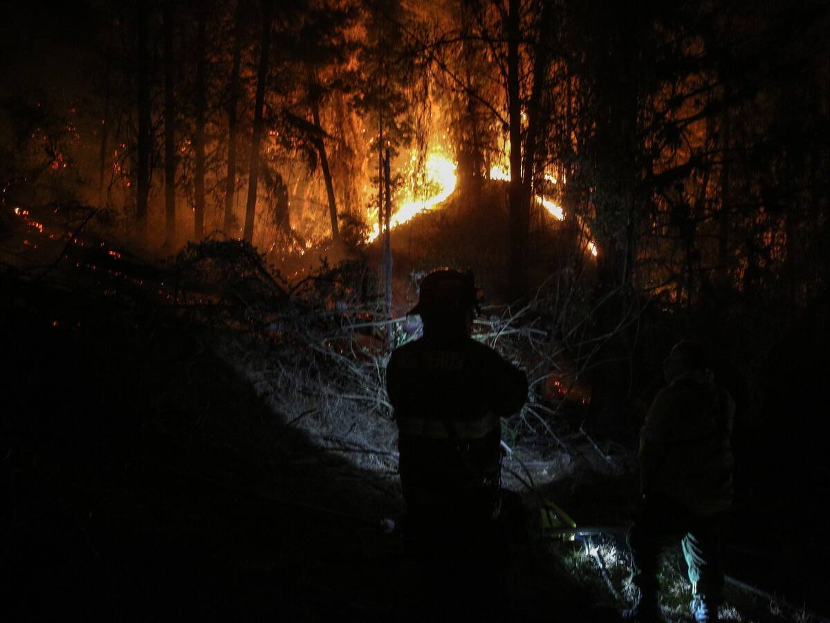 Incendio Forestal en La Araucanía: Senapred declara alerta roja para la comuna de Lonquimay