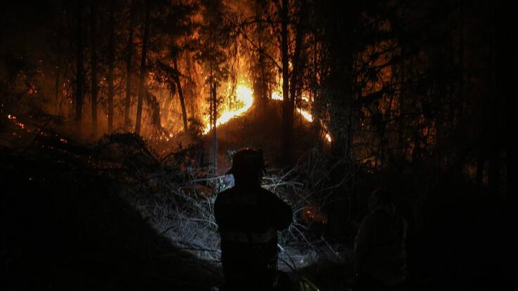 Incendios forestales en Valparaíso: alcaldesa Toledo confirma que hay viviendas afectadas en Quebrada Escobar