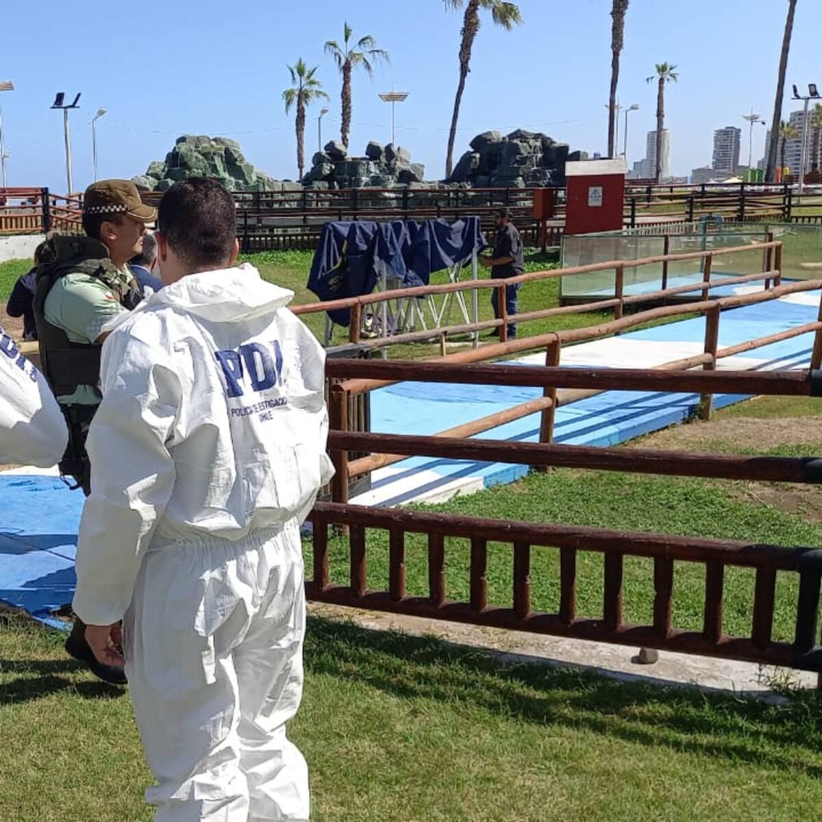 PDI investiga brutal homicidio en Playa Cavancha: víctima fue hallada decapitada y con más de 70 puñaladas