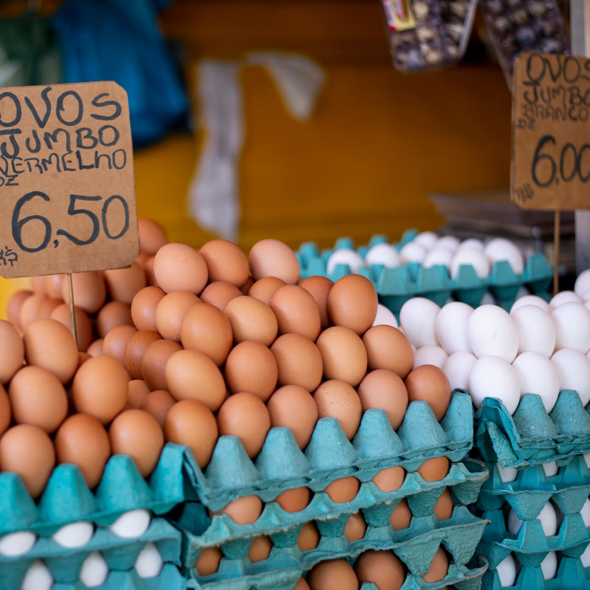 SAG suspende importación de carne de ave y huevos desde Brasil por brote de virus Newcastle