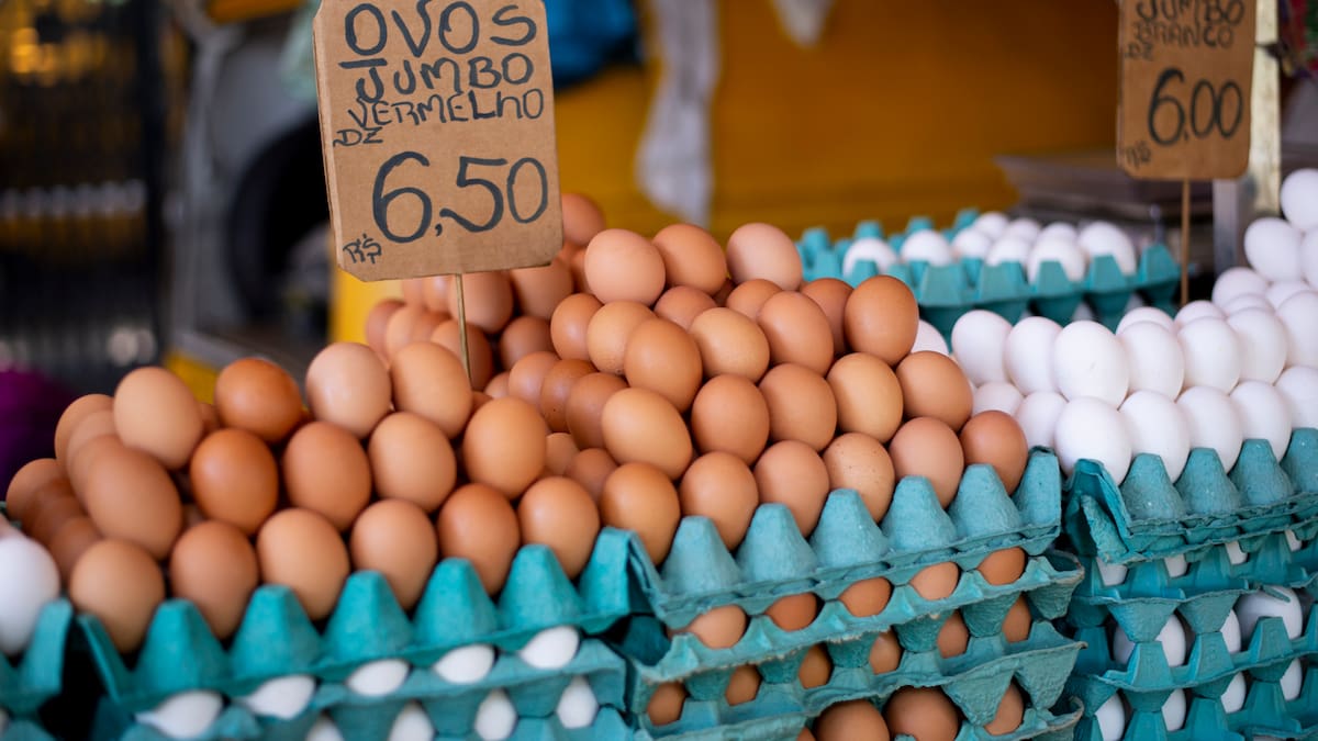 SAG suspende importación de carne de ave y huevos desde Brasil por brote de virus Newcastle