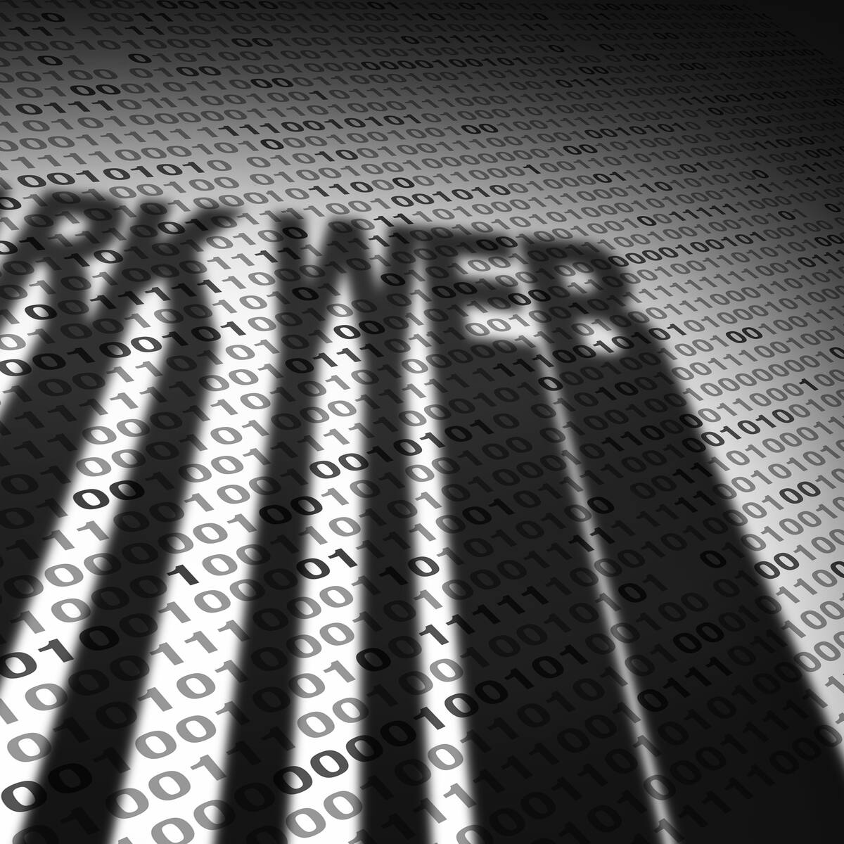 Megaoperativo en 23 países tumba red de la dark web con más de 373 mil sitios vinculados a delitos