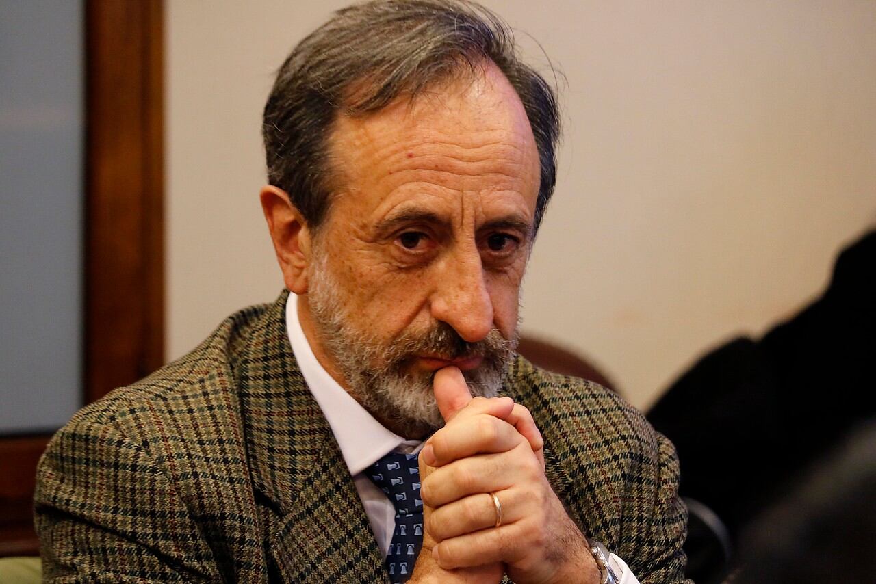Guillermo Pattillo en durante la sesión de la comisión de Economía de la Cámara de Diputados en mayo de 2019.