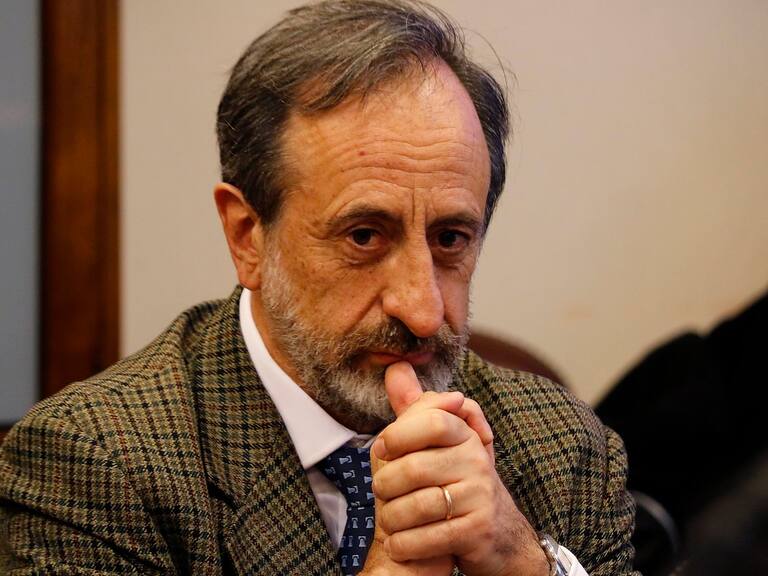 Guillermo Pattillo en durante la sesión de la comisión de Economía de la Cámara de Diputados en mayo de 2019.