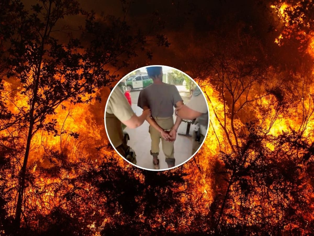 Detienen a hombre tras ser sorprendido intentando provocar incendio forestal en el Maule