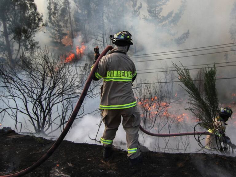 Gobierno declara Estado de Catástrofe en la región de La Araucanía por incendios forestales