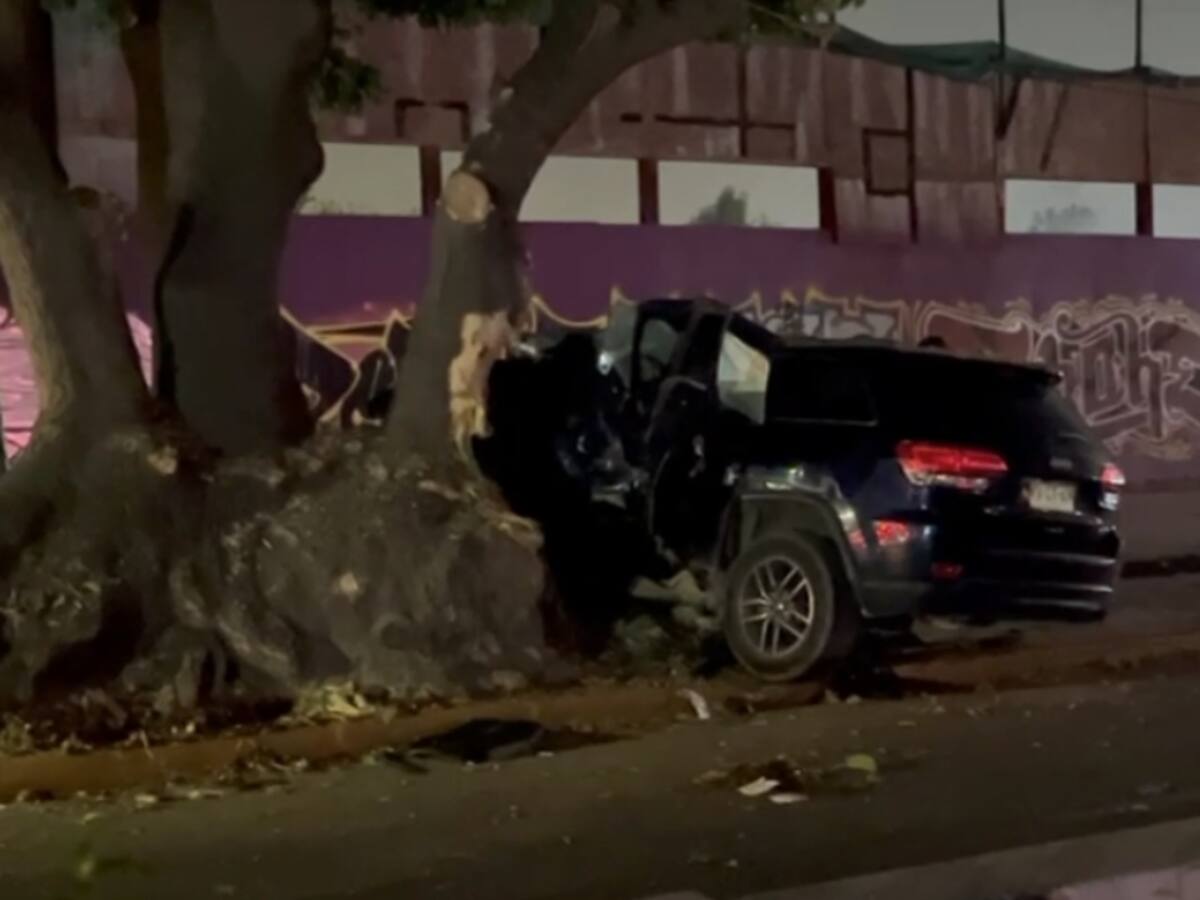 Joven de 21 años queda en riesgo vital tras accidente de tránsito en Ñuñoa: auto chocó contra un árbol