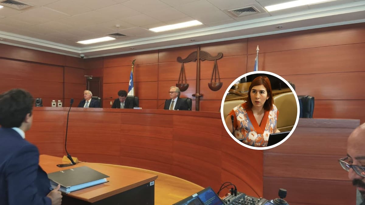 Corte de Apelaciones acoge solicitud de desafuero contra diputada Catalina Pérez