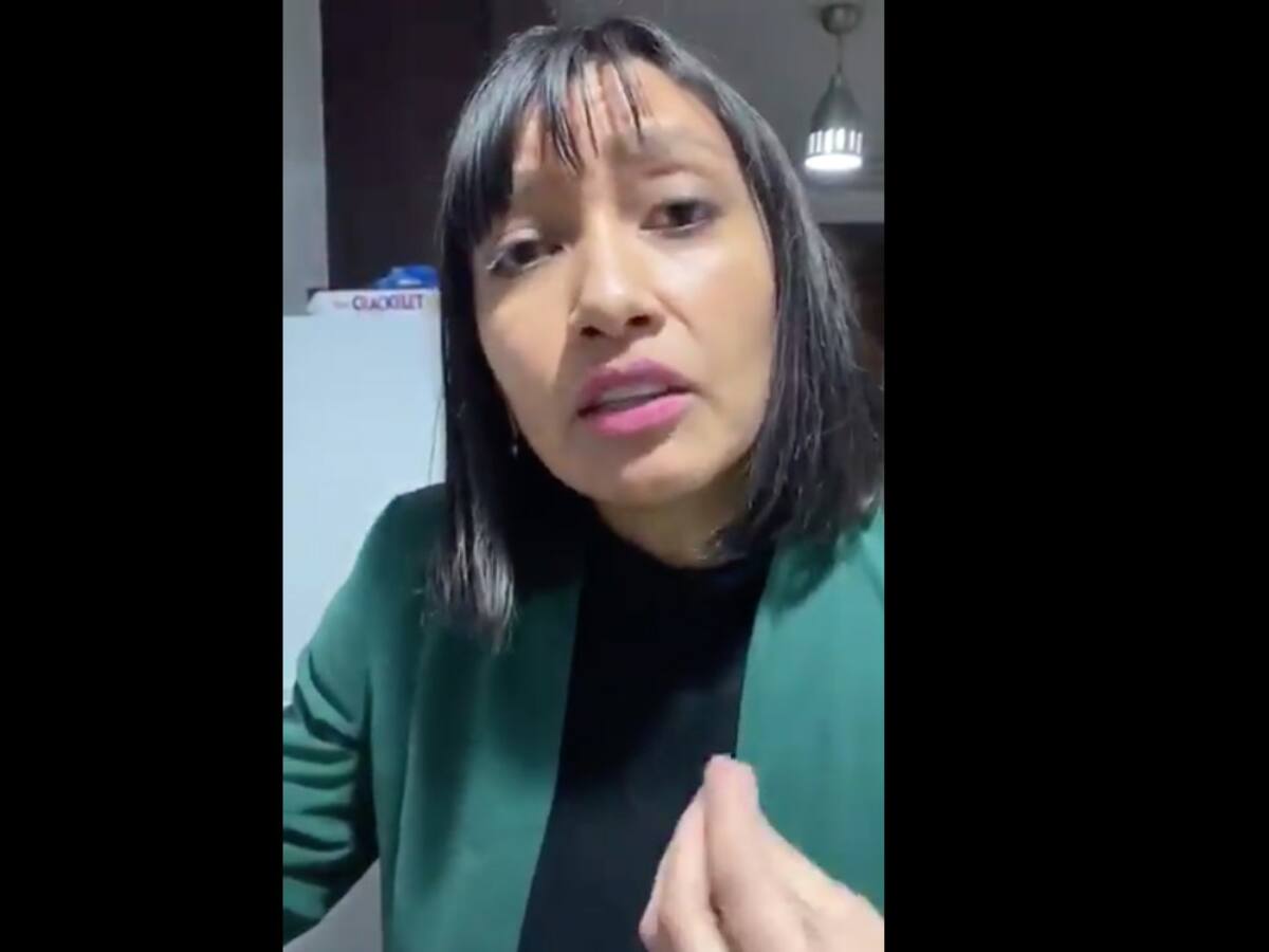 Diputada Natalia Castillo denunció que le hicieron entrega de una caja del programa «Alimentos para Chile»